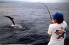 Black marlin5