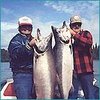 kingsalmon83